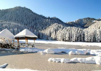 Dalhousie & Dharamshala from Amritsar